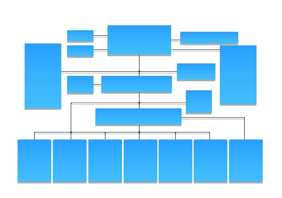 Organization Structure